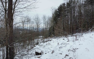 431 Bible Hill Rd, Saint Johnsbury, VT 05819 - photo 6