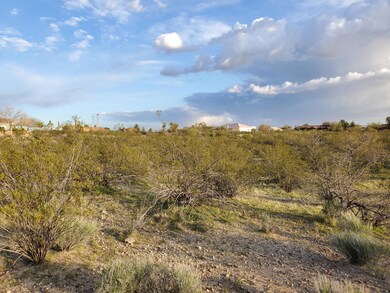 21420 W El Grande Trail unit 120, Wickenburg, AZ 85390 - photo 5