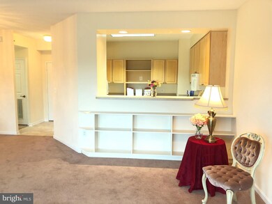 3005 Leisure World Blvd S unit 502, Silver Spring, MD 20906 - photo 5