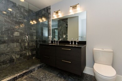 10 Saint George St unit 601, Boston, MA 02118 - photo 5