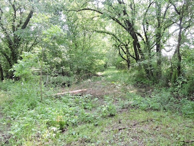 330 County Road 2975, Honey Grove, TX 75446 - photo 5