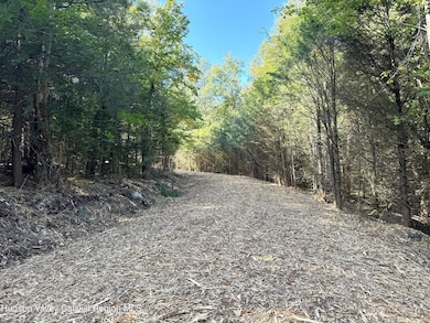 13 Corfu Rd, Elka Park, NY 12427 - photo 4