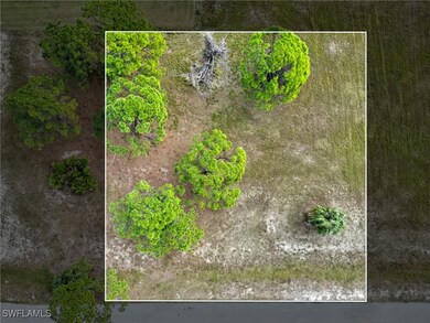 1653 NW 36th Ave, Cape Coral, FL 33993 - photo 3