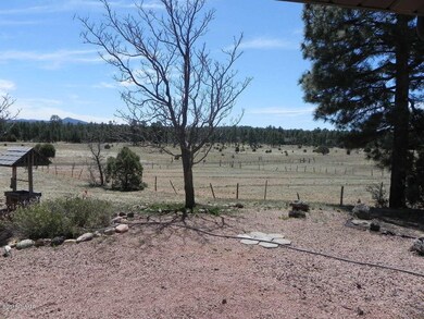 251 E Whipple St, Show Low, AZ 85901 - photo 6