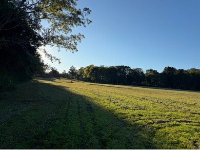 0 Minkslide Rd, Bell Buckle, TN 37020 - photo 5