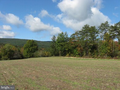 0 Fish Hatchery Rd unit WVMO117550, Berkeley Springs, WV 25411 - photo 7