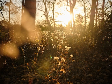 7725 Caney Fork Rd, Fairview, TN 37062 - photo 3