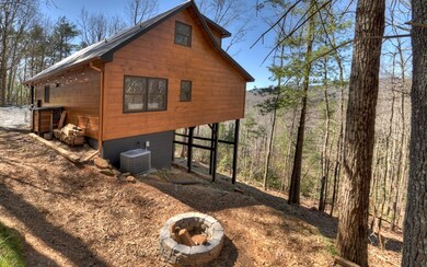 Additional View
