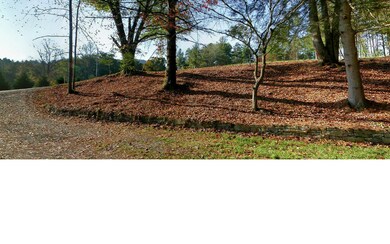 Additional View