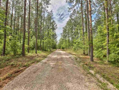 1512 Concord Bainbridge Rd, Havana, FL 32333 - photo 6