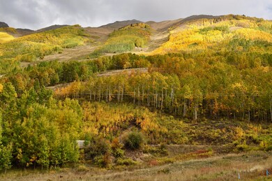 0 Aurum St unit 1-8, Ophir, CO 81426 - photo 7