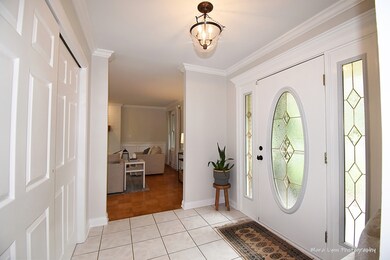 413 Meadowrue Ln, Batavia, IL 60510 - photo 5