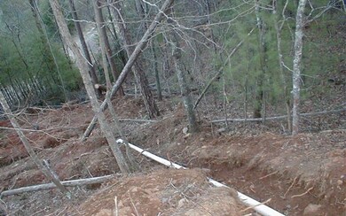 Additional View