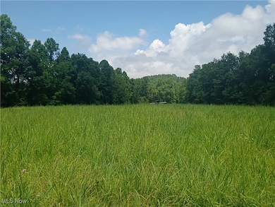 0 R 9 unit 5139092, Arnoldsburg, WV 25234 - photo 6