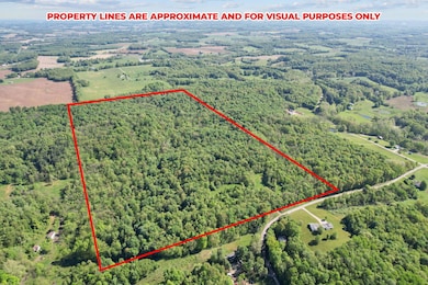 7-web-or-mls-DJI_0448 - Copy (2)