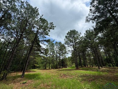 View of tree filled area