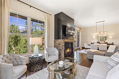 136 San Joaquin Rd unit D201, Telluride, CO 81435 - photo 4