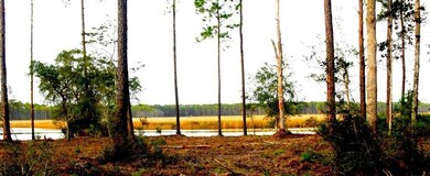 340 Jay Way, Carrabelle, FL 32322 - photo 5