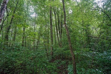 0 Duncanson Rd unit 24555971, Whiteoak Township, OH 45171 - photo 2