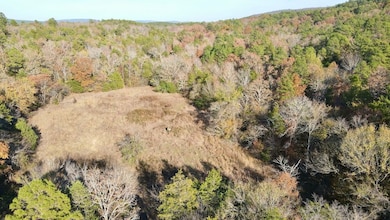 Snow unit OK, Snow, OK 74567 - photo 5