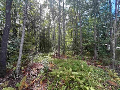 137 Salmon Falls Rd, Rochester, NH 03868 - photo 3