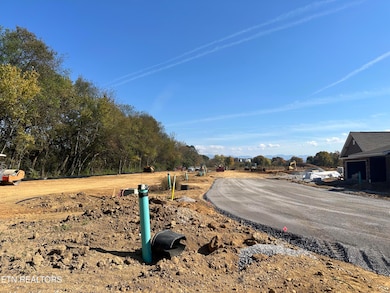 671 Snowflower Cir unit 146, Pigeon Forge, TN 37863 - photo 3