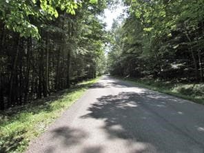 Lot 00 Sackett Creek Rd, Nichols, NY 13812 - photo 3