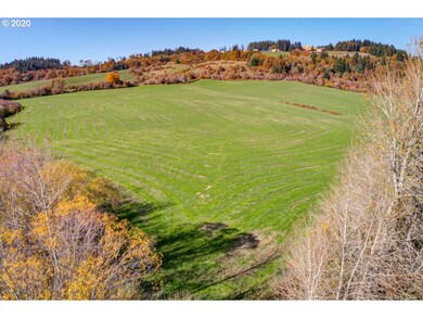 0 Pittman Rd unit 20213598, Sheridan, OR 97378 - photo 6