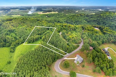 DJI_0415-HDR_1