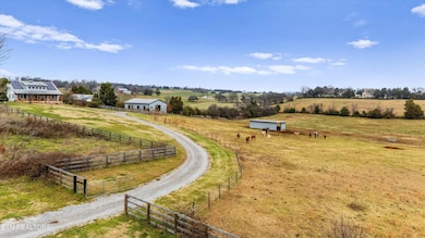 Maple Lane