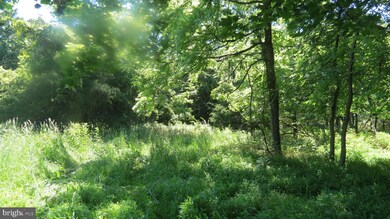 758 Swimley Rd, Berryville, VA 22611 - photo 6