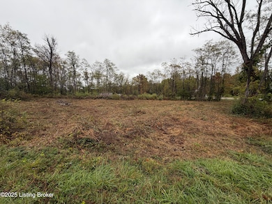 28 Freesia Ct, Brandenburg, KY 40108 - photo 2