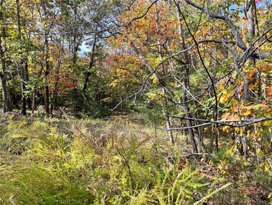 0 Snyder Ln unit 1259475, Bella Vista, AR 72714 - photo 5