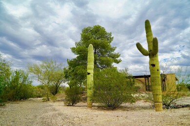 Saguaros against a cloudy sky