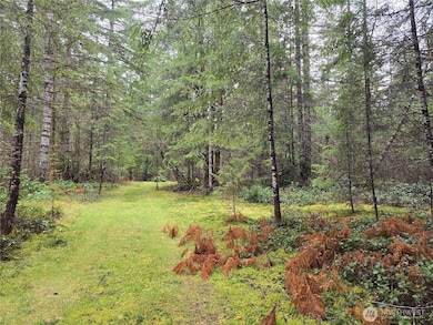 0 Lot 1&2 W Elk Hill Rd, Elma, WA 98541 - photo 7