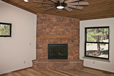 Gas Fireplace