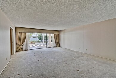 Large Living Room 1