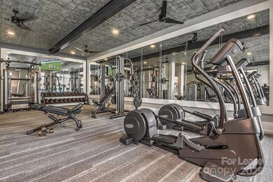 7420 N Rea Park Ln unit Pebble Beach, Charlotte, NC 28277 - photo 6