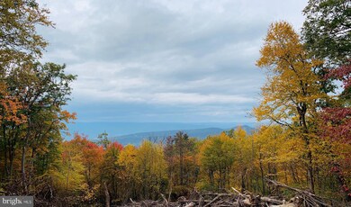 346 S Branch Mountain Rd, Moorefield, WV 26836 - photo 5