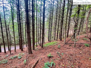 TBD Daniel Pierce Rd, West Jefferson, NC 28694 - photo 6