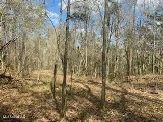 0 Turkey Creek Rd, Natchez, MS 39120 - photo 7