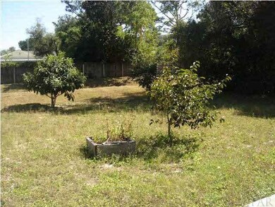Large back yard