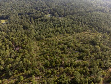 DJI_0397