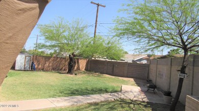 IMG_0262 (2)