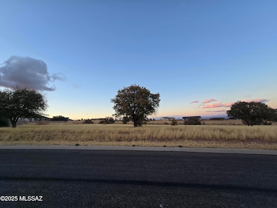 TBD Saddlehorn Cir unit 10, Hereford, AZ 85615 - photo 6