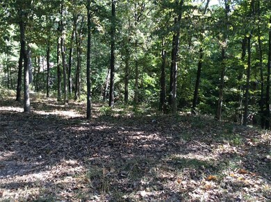 Lot 23 Lune Ln, Bella Vista, AR 72714 - photo 3