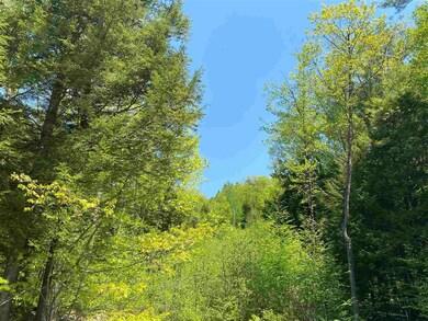 00 Old Swanzey Rd, Chesterfield, NH 03462 - photo 3