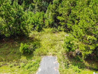 lot 65 Tidway Cir, Conway, SC 29527 - photo 4