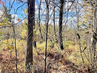 10 Acres W Fletcher Rd, Roscommon, MI 48653 - photo 5