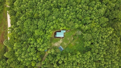 367 Martin Pierce Rd, Cub Run, KY 42729 - photo 7